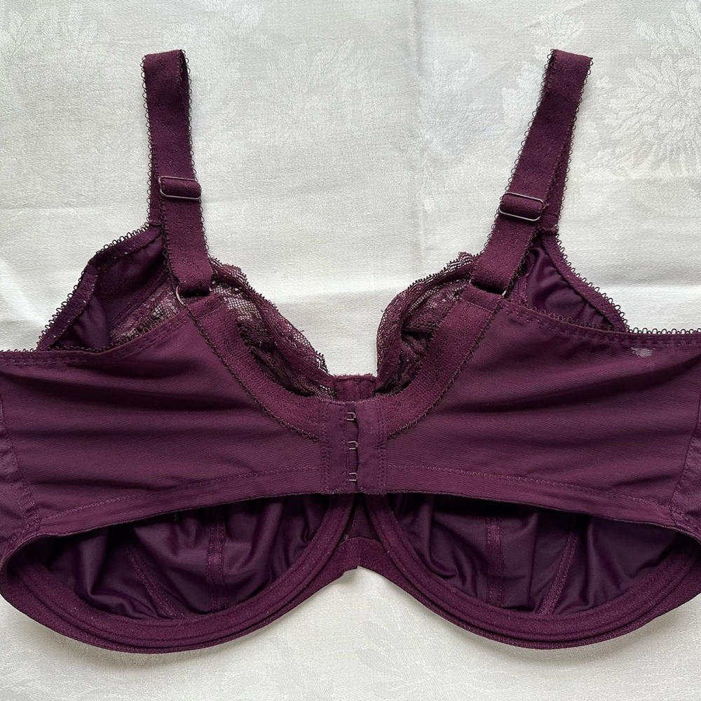Elomi Deep Purple Lace Bra - Picture 7 of 8
